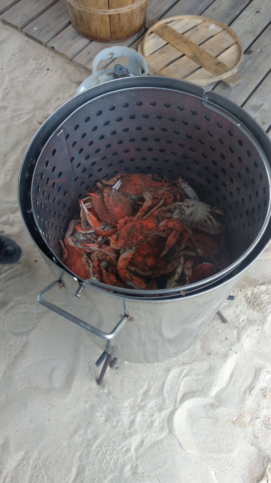 A bit of Old Bay Seasoning and life is good!