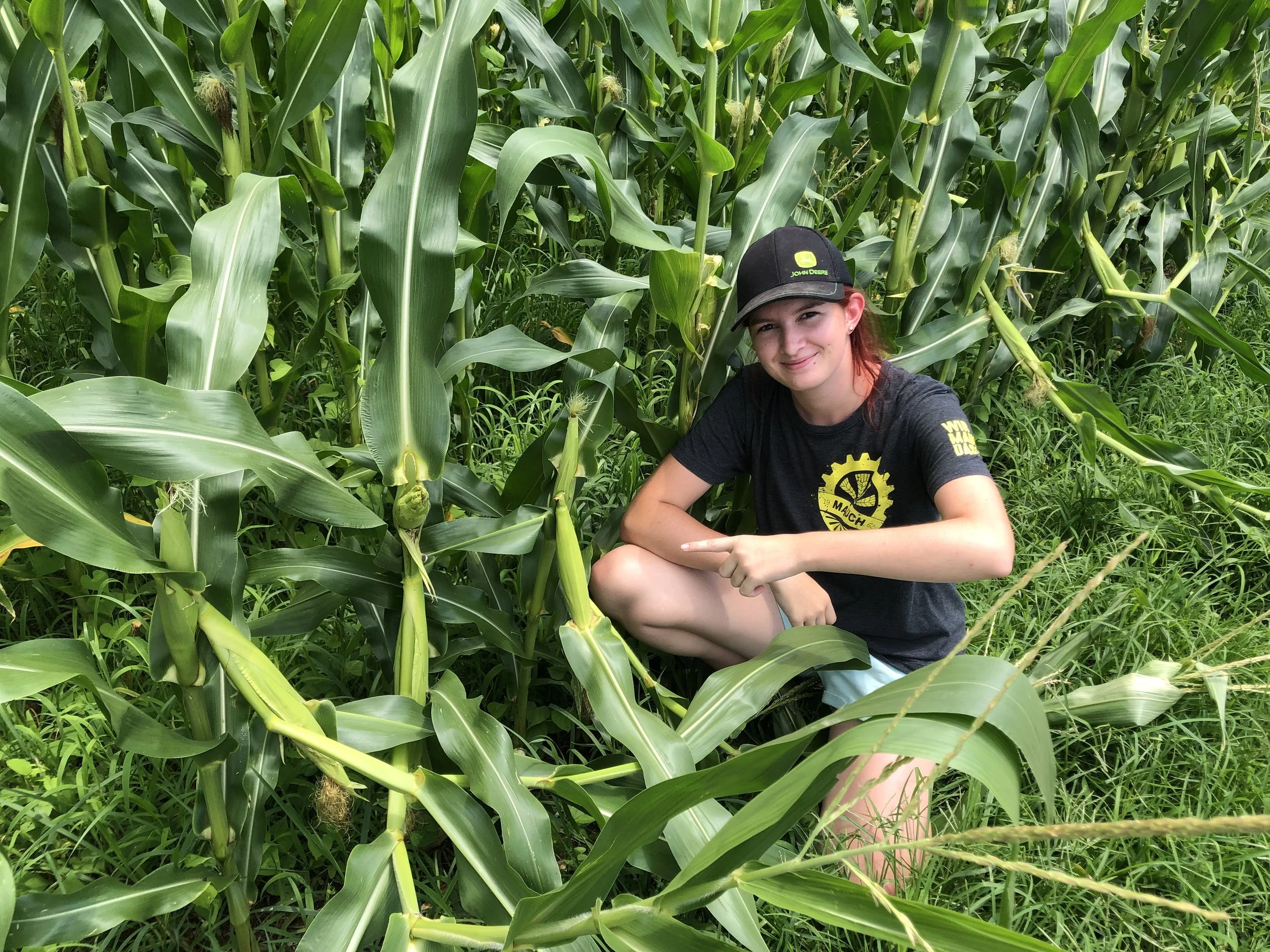 Hannah in the corn used for whiskey production at the Tobacco Barn Distillery Fri July 15, 2022
