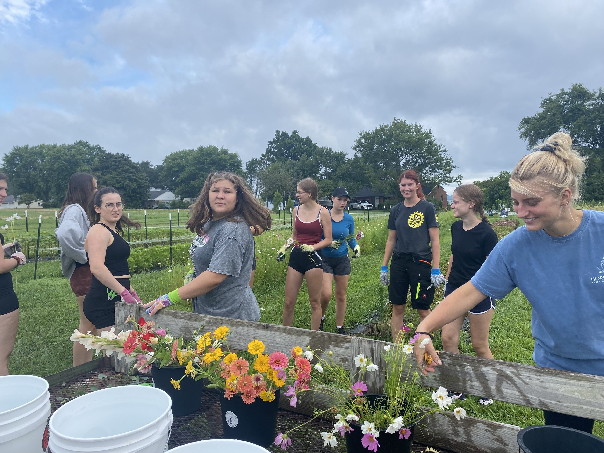 2022 Austrian Interns: Flower Arranging with Priscilla Leitch at Anchor Roots Farm Tues Aug 1, 2022