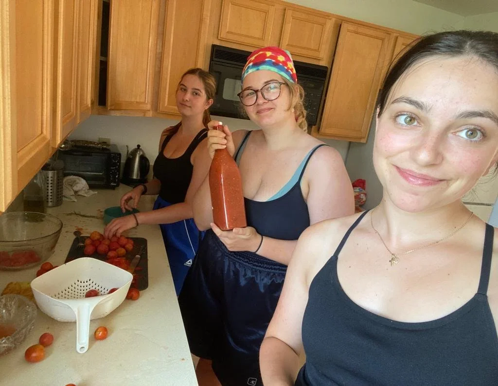 Tomato Processing at Woodlawn 