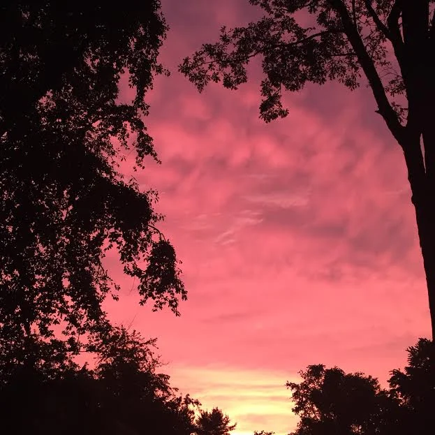 Fire After The Storm