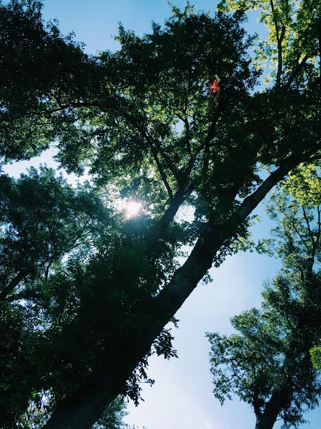 The Beginning of the Change