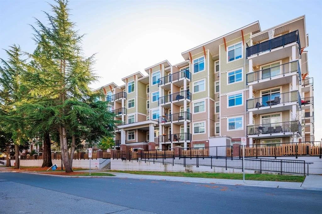 01 - 262758646-15.jpeg