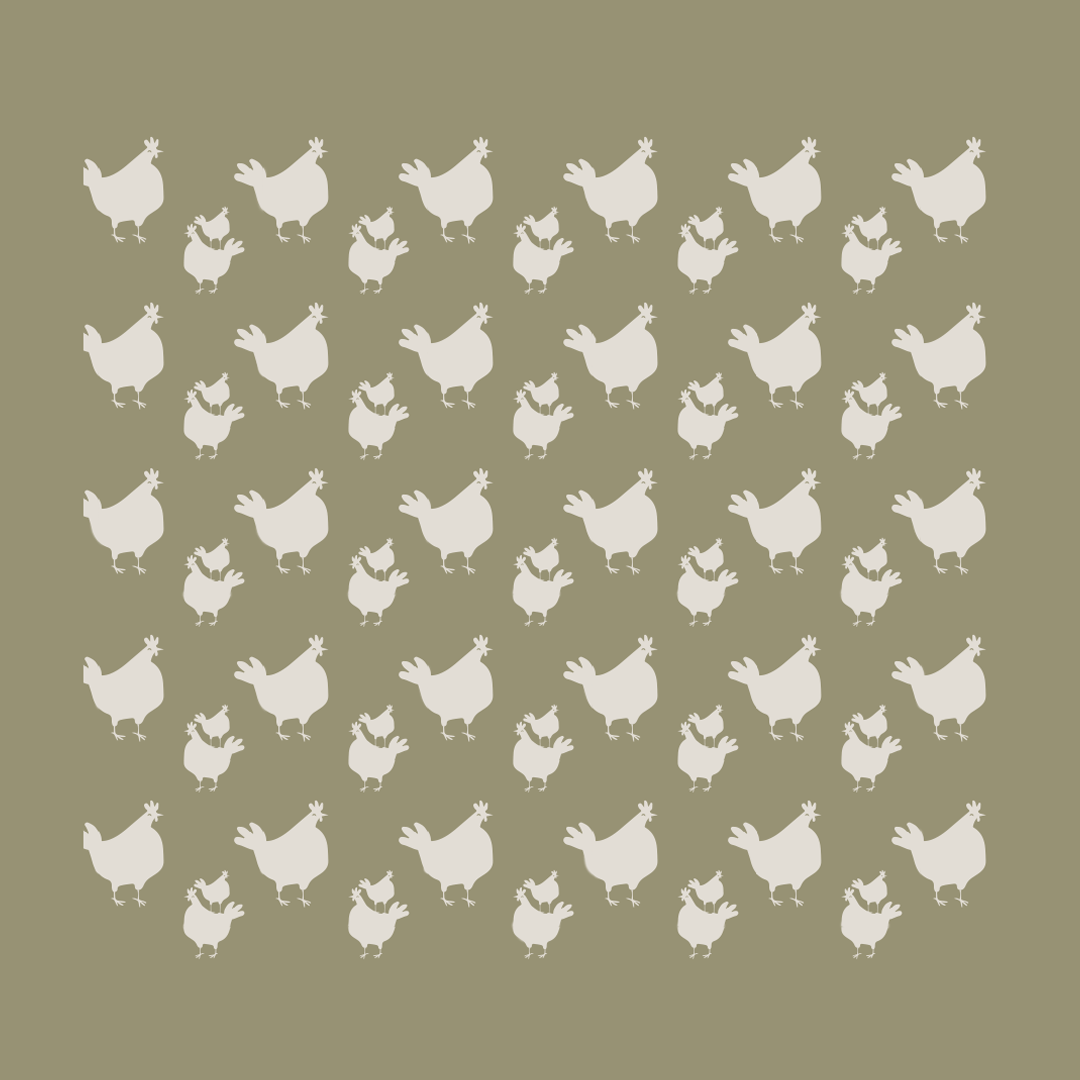 chicky-illo5b.png