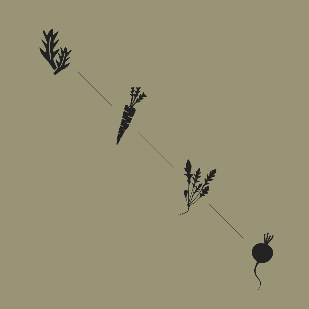 Icon-chickpea-homesteadcc.png