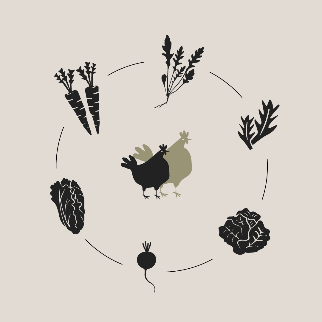 Icon-chickpea-homesteadff.png