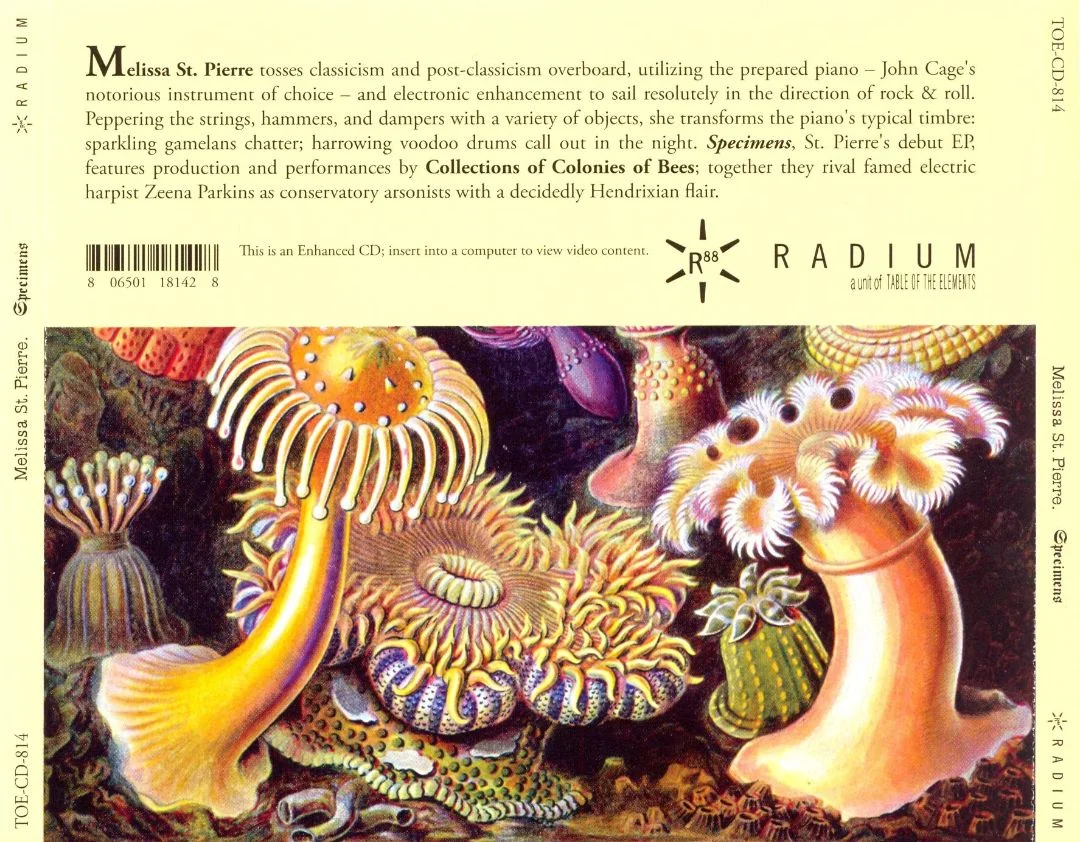 MSP specimens reverse.jpg