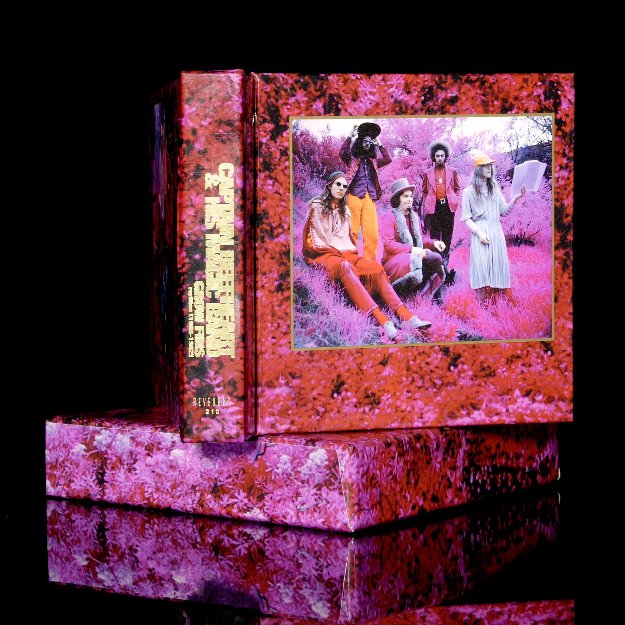 Image by Bradly Brown , from the Revenant CD issue of Grow Fins (1998)