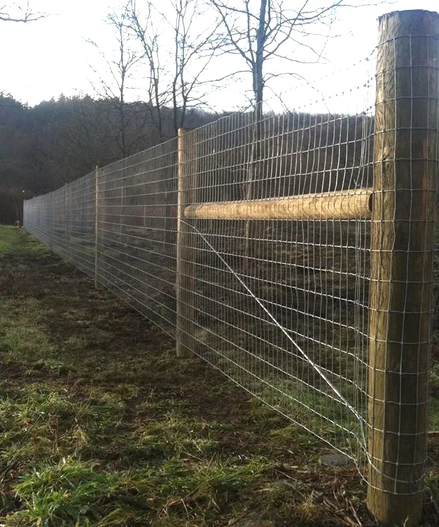 2x4" wire mesh ideal for maximum predator prevention