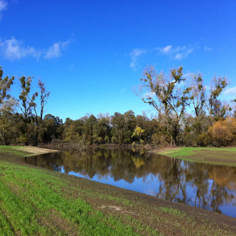 A half-day fieldtrip led by Wildlands staff.