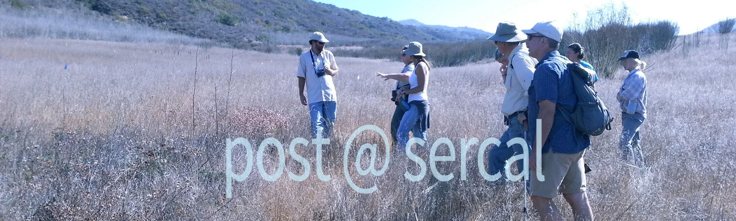 Lessons learned 2 post092419.jpg