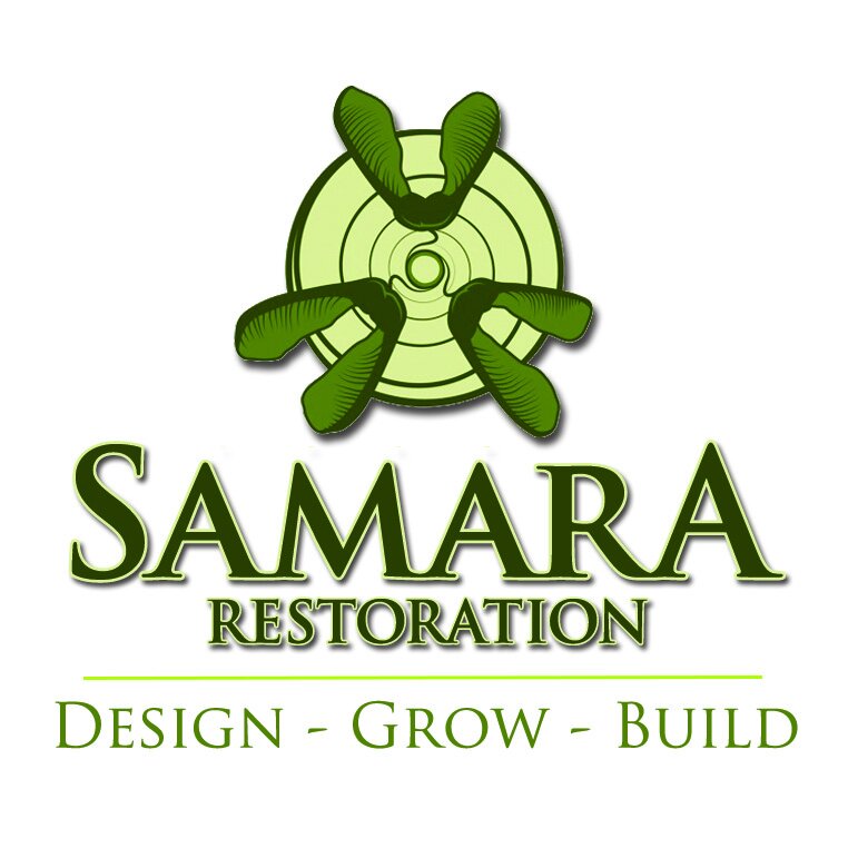 samara logo 2019.jpg