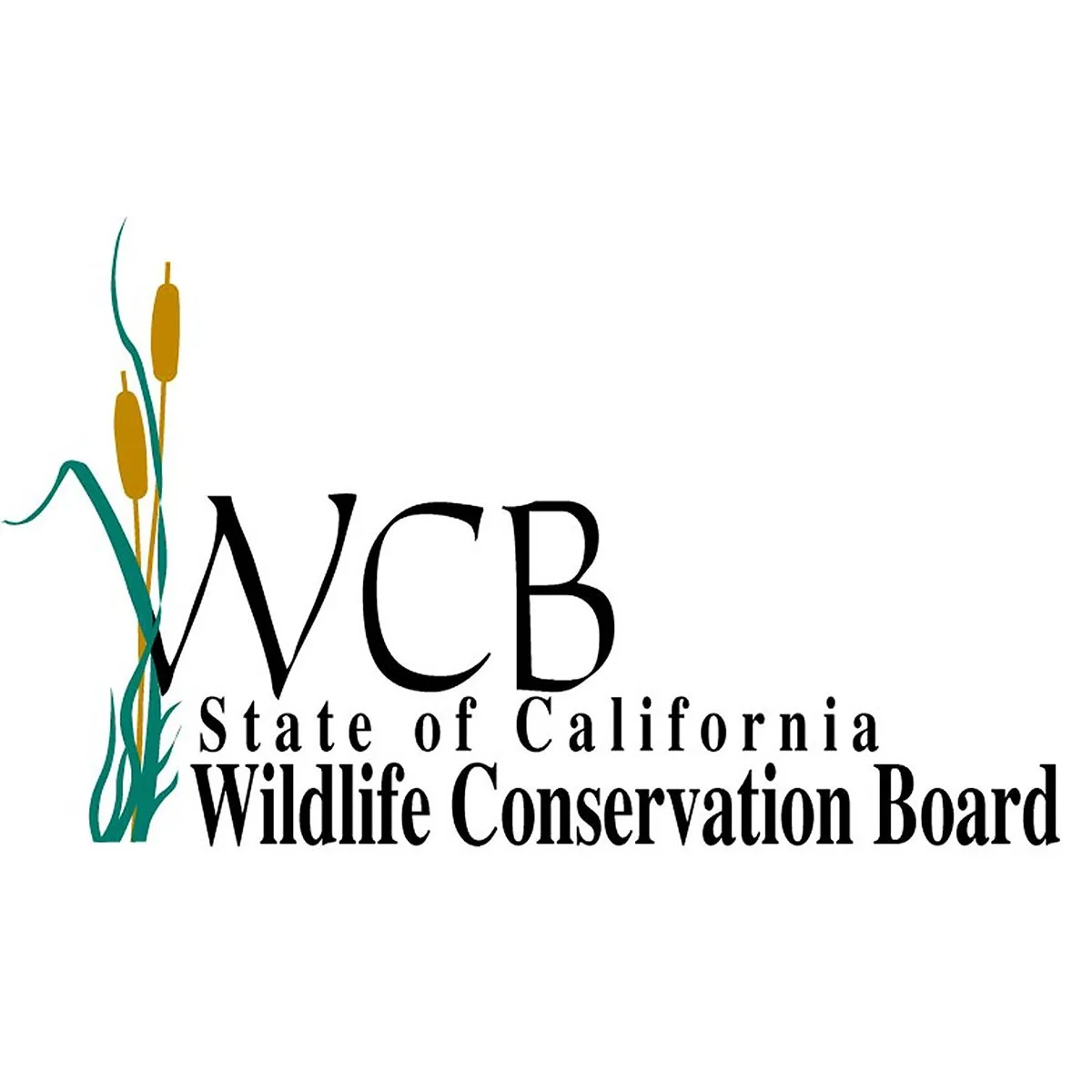 footer WCB 245750218.jpg