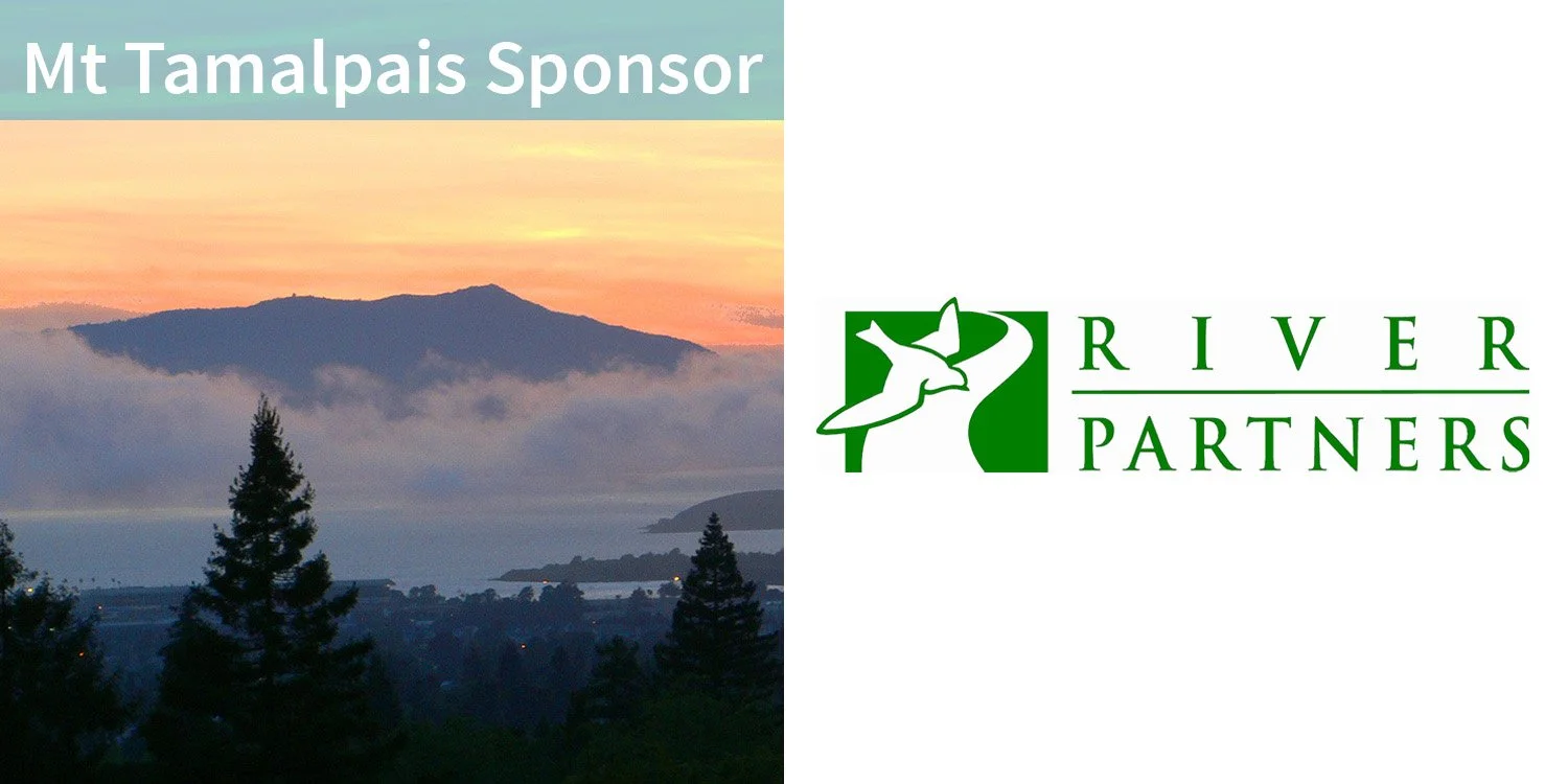 home 500 rivpartners.jpg