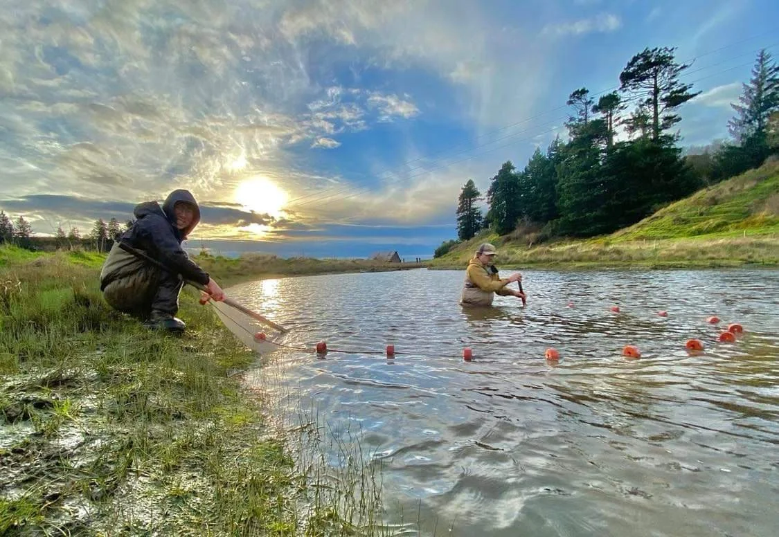 HB MS 2021 monitoring_seining Pond C_12-20-21_pic#1.jpg