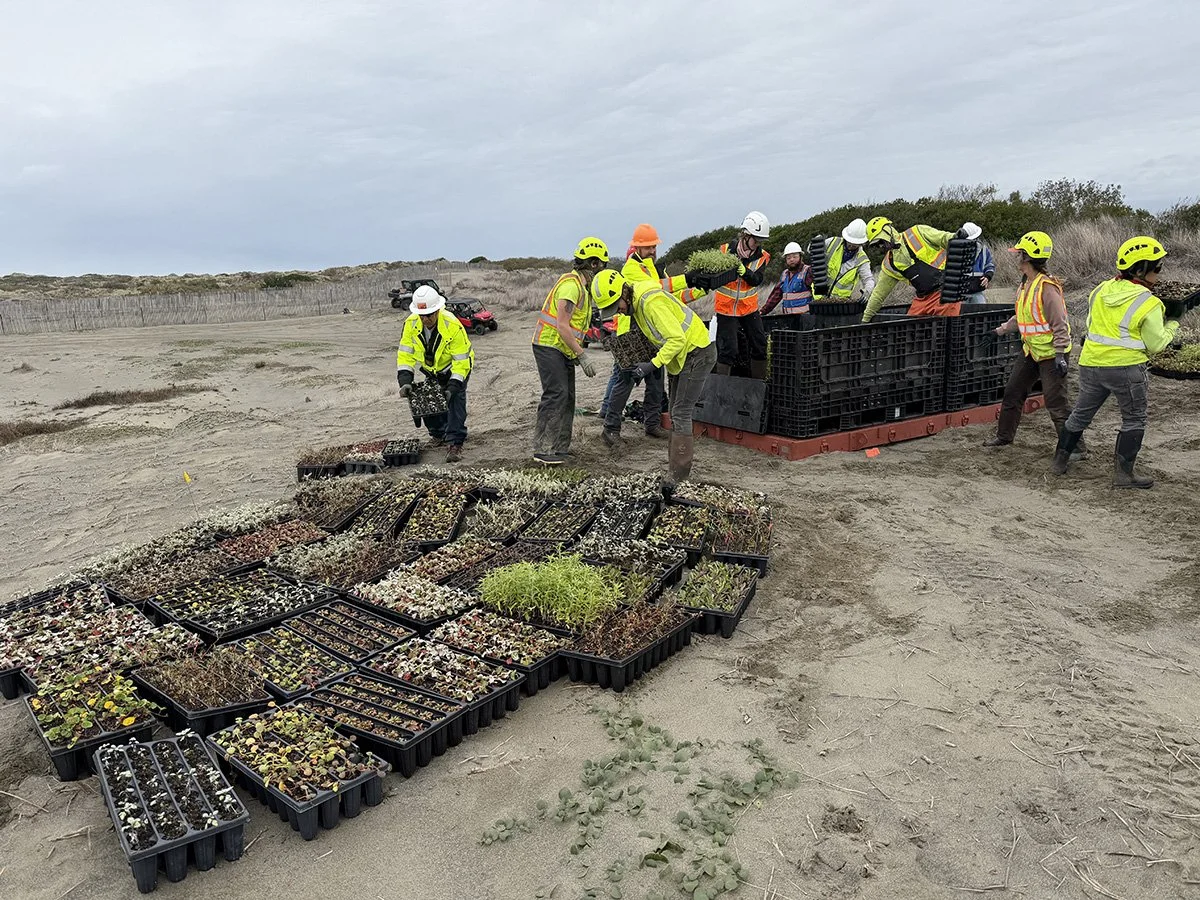 WD UnoadingContainerWadulh11-6-25ap4reduced.jpg