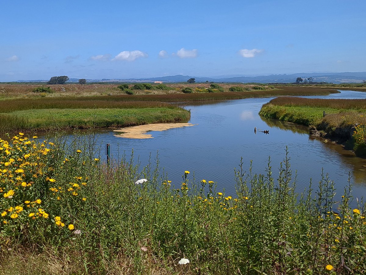 ER IMG_20230729_125722.jpg