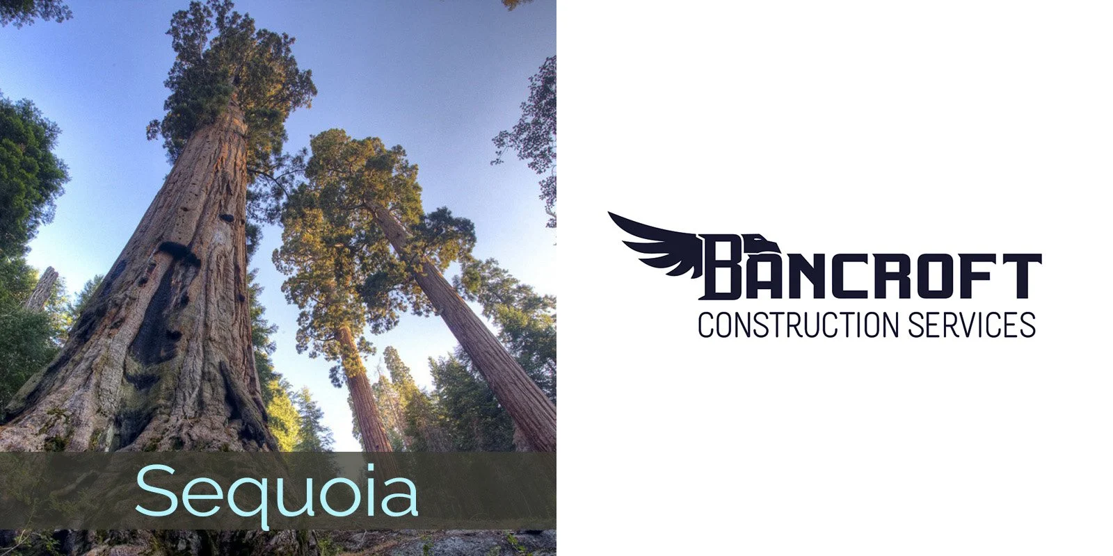 2026 sequoia bancroft.jpg