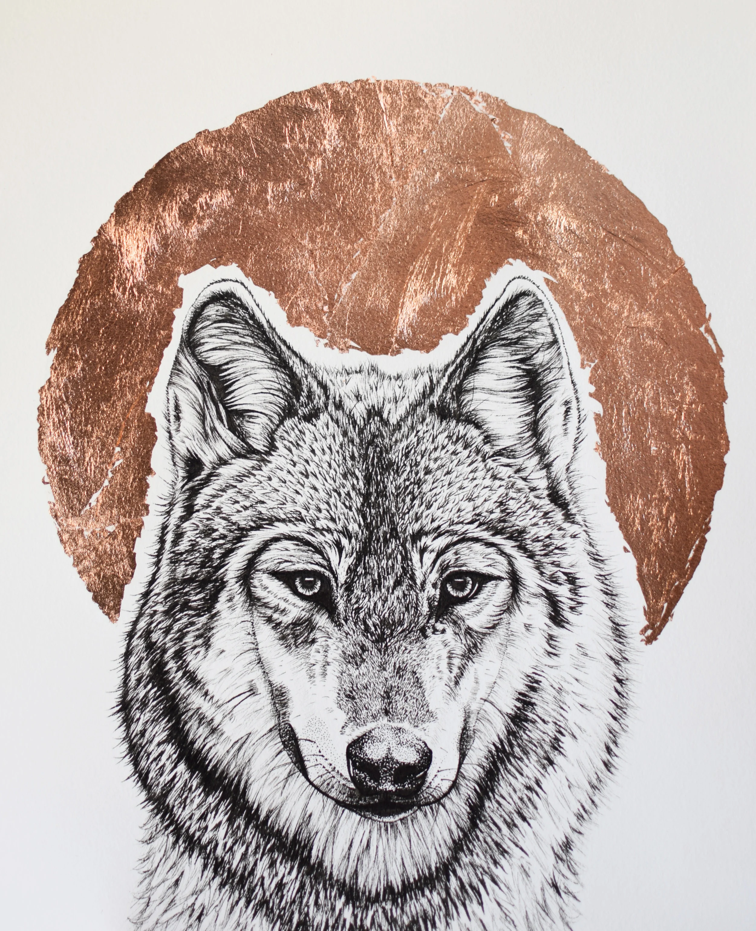 Wolf