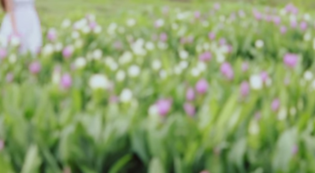 Screen Shot 2015-07-09 at 1.42.36 PM.png