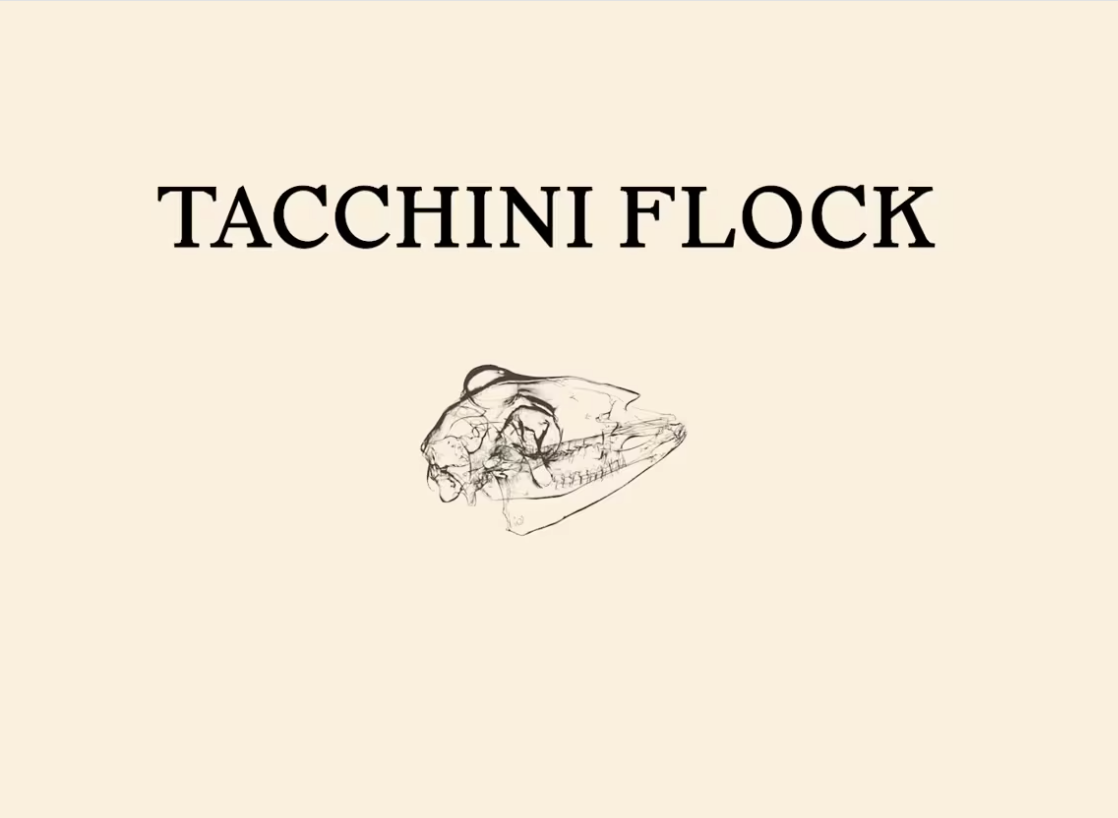 Formafantasma Tacchini Flock.png