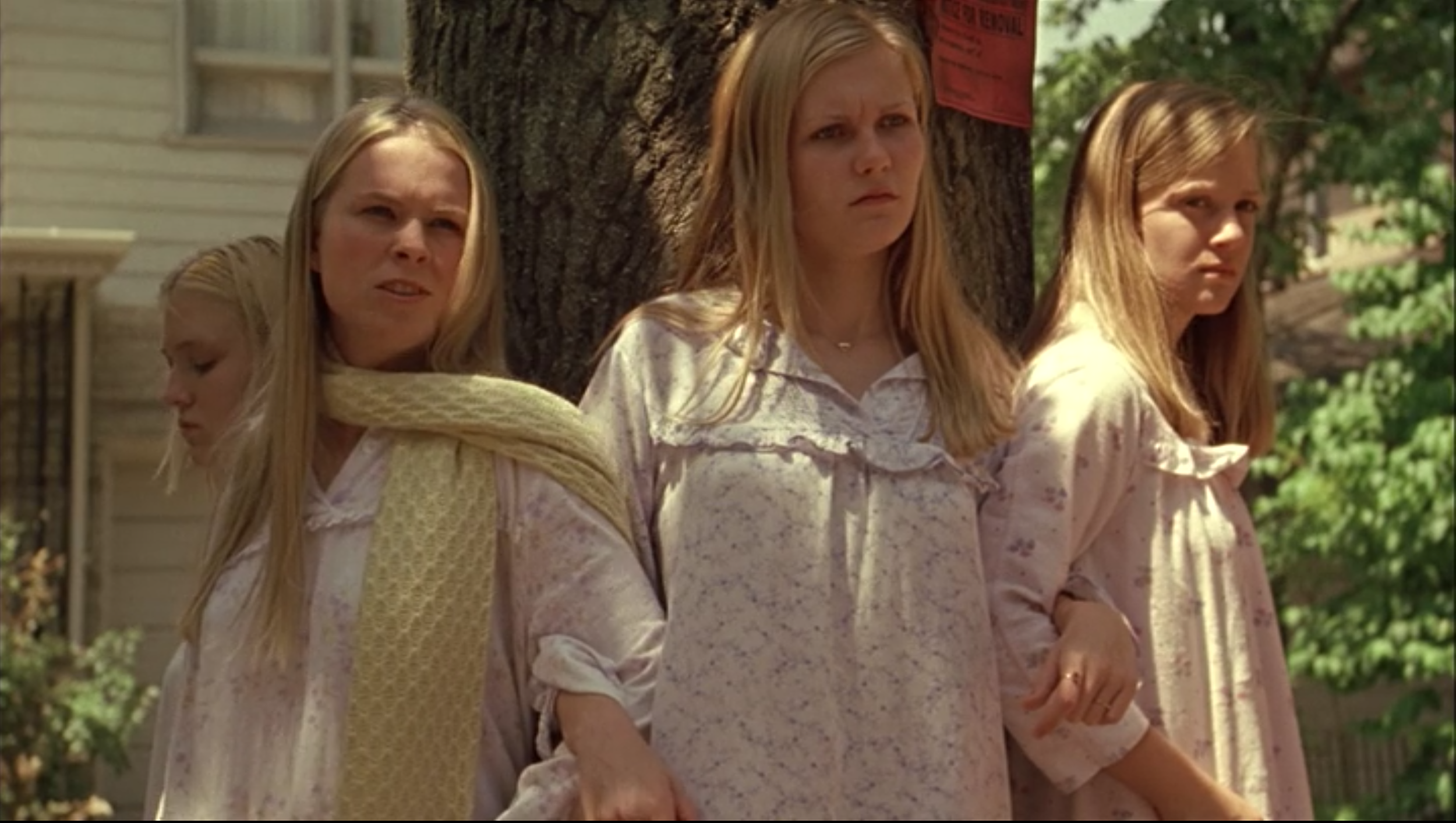 I love the vintage look of Sofia Coppola's The Virgin Suicides. (Image via Google.)