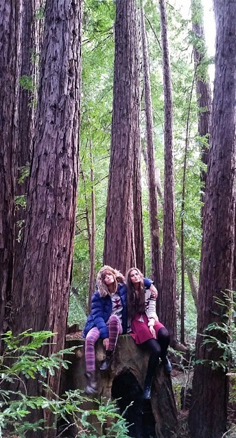 Big Sur.jpg