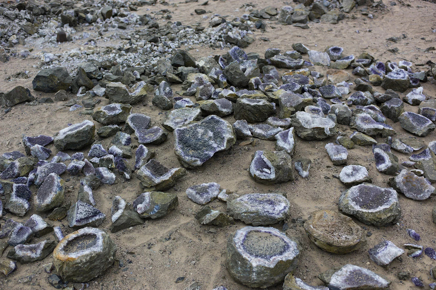 L1015744.jpg