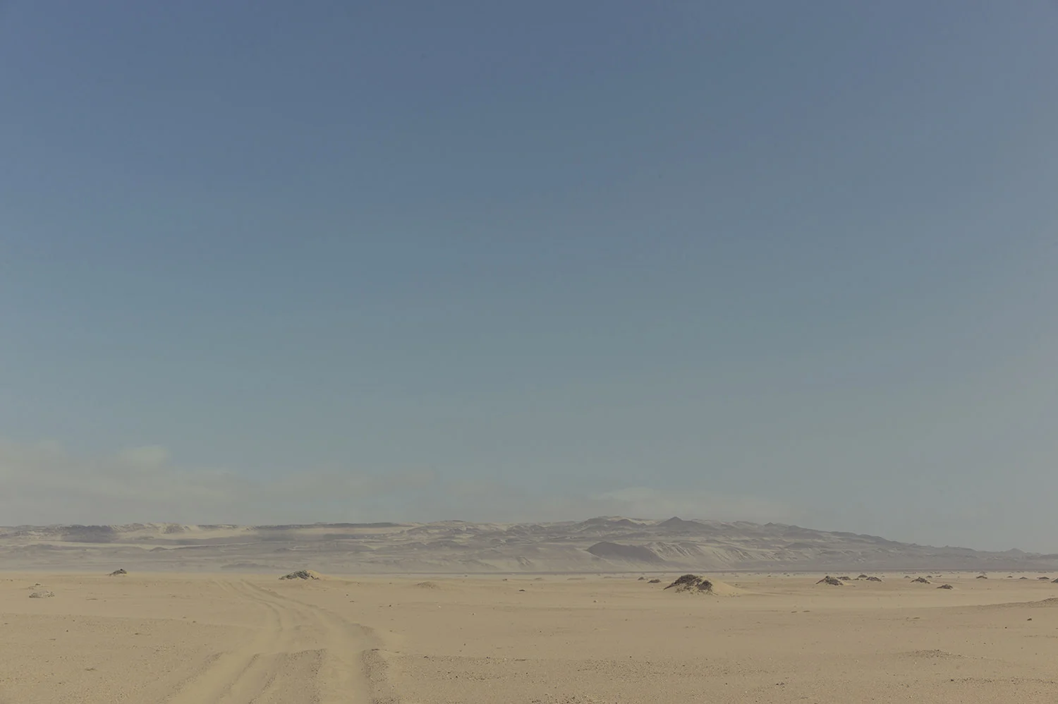 L1015747.jpg