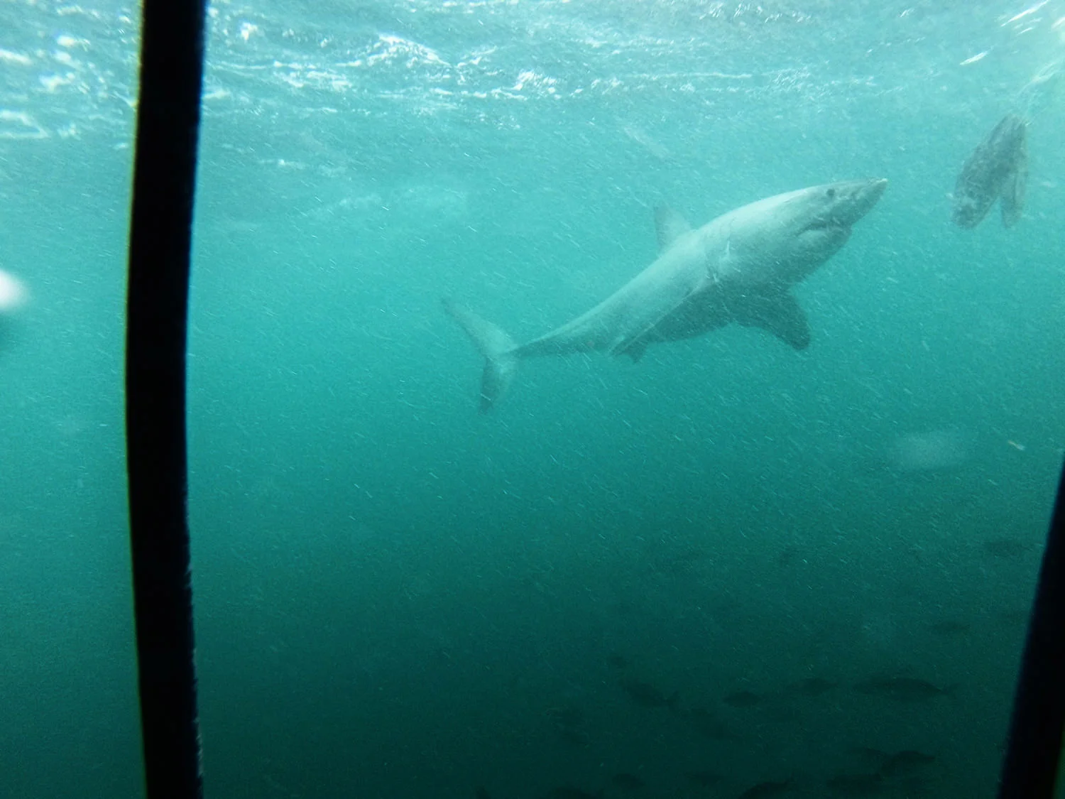 G0405426_1.jpg