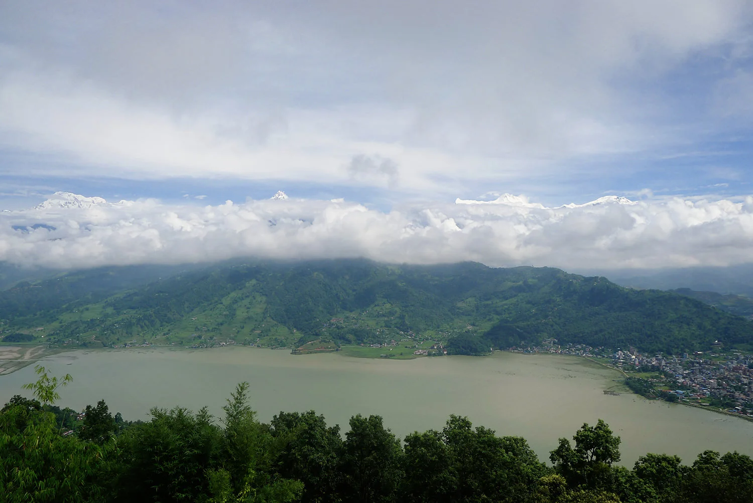 P1110343.jpg