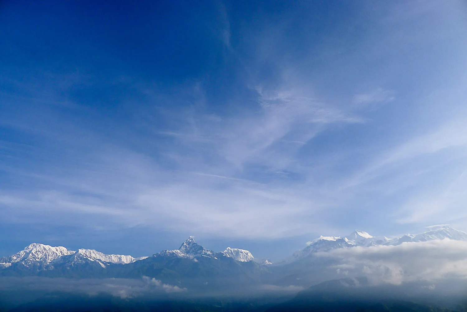 P1110453.jpg