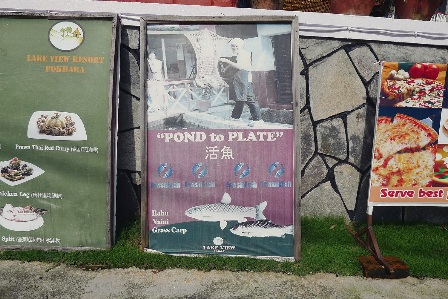 P1110362.jpg