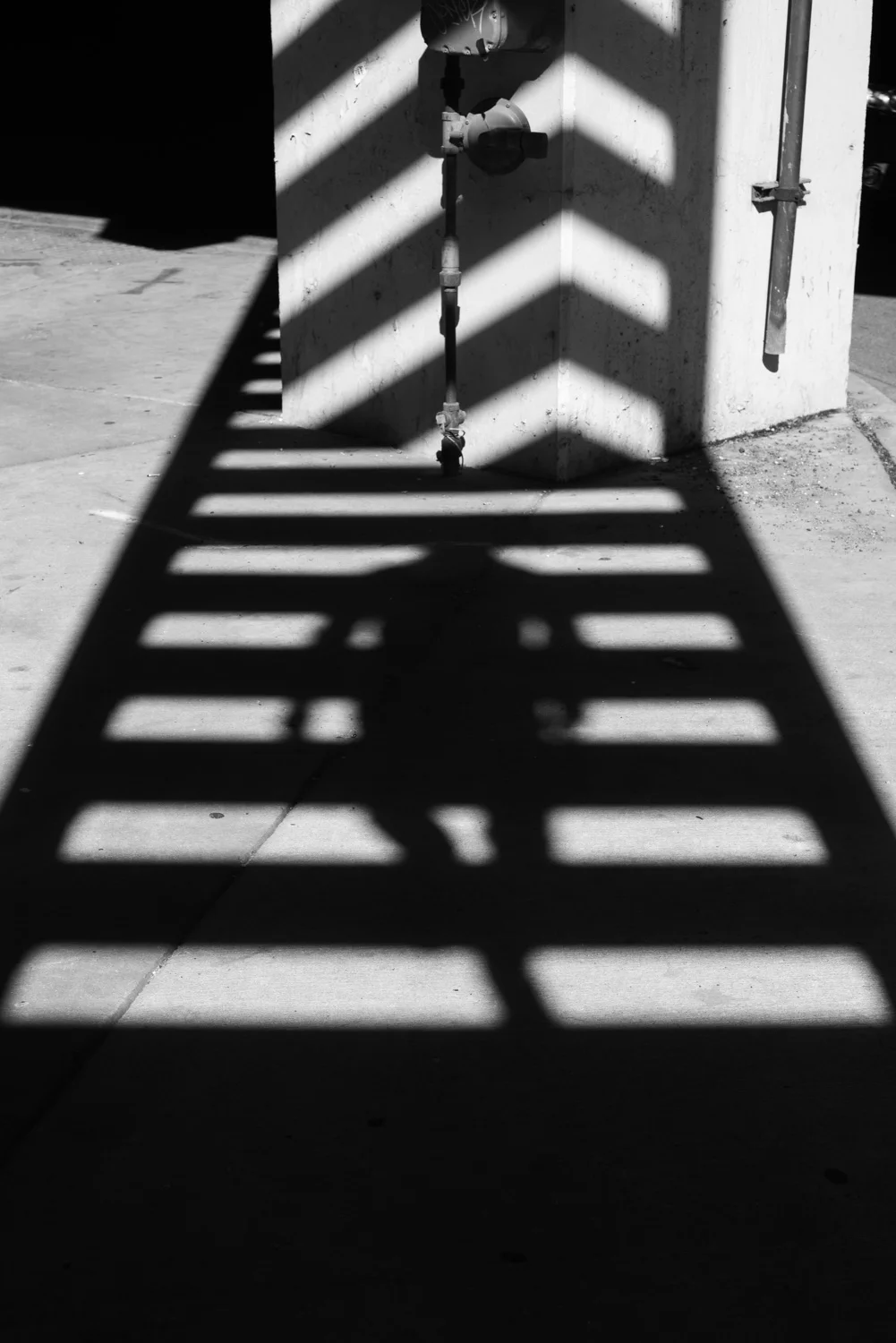 DSC_0050.jpg