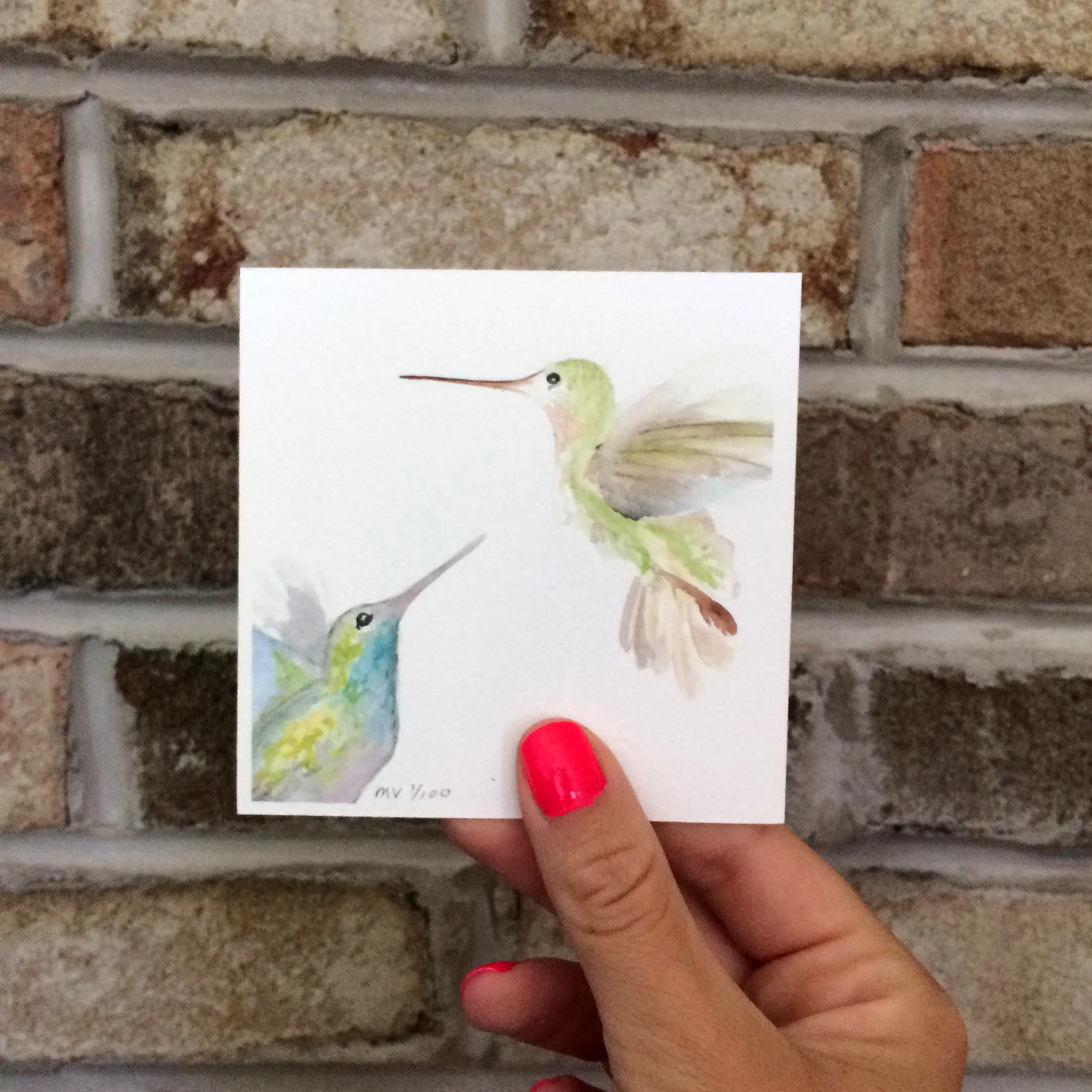 hummingbird.jpg