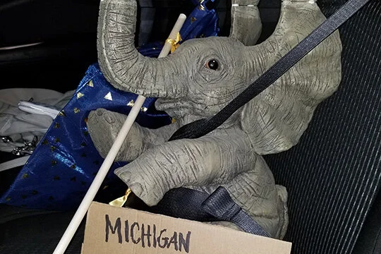 #operationelephantdrop