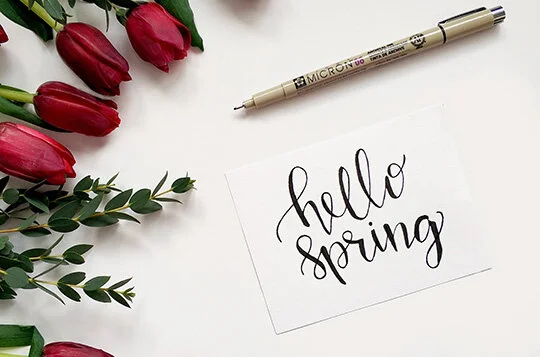 Think Spring!!! Well Attempt to Anyways…..