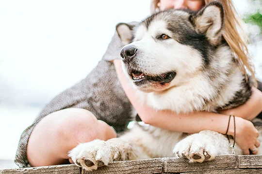 Unconditional Love