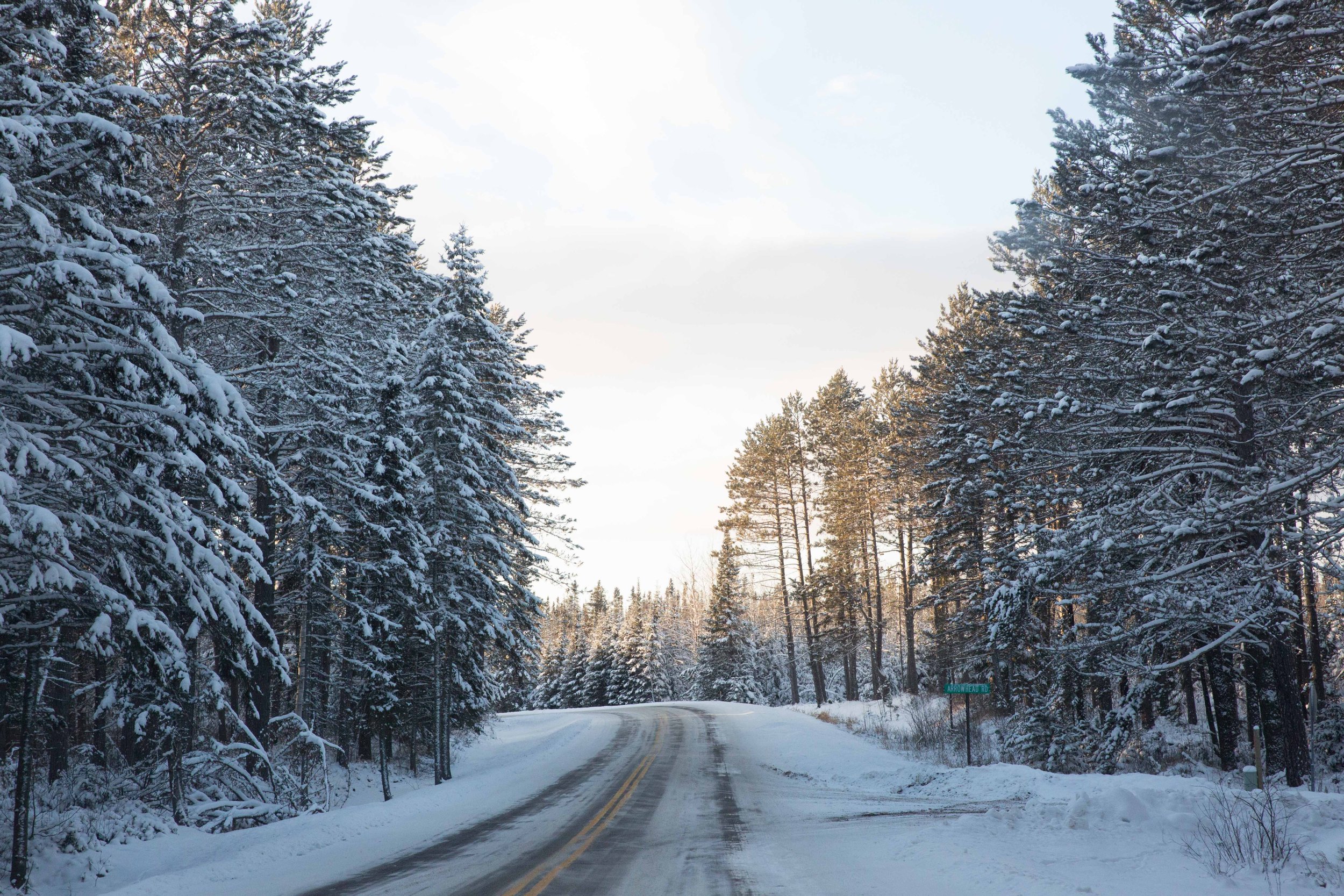 North-6.jpg