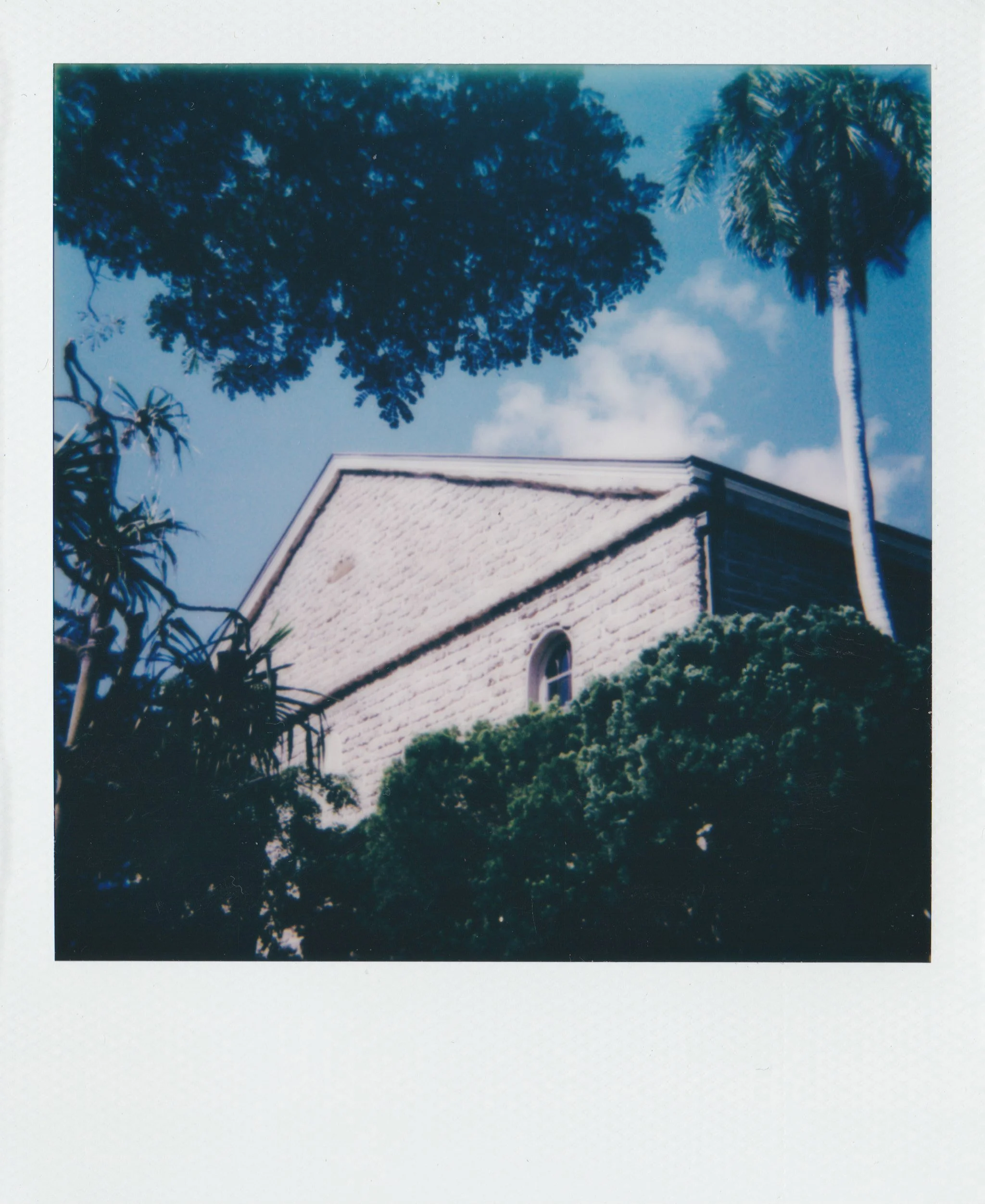 Polaroids_Feb2022-1.jpg