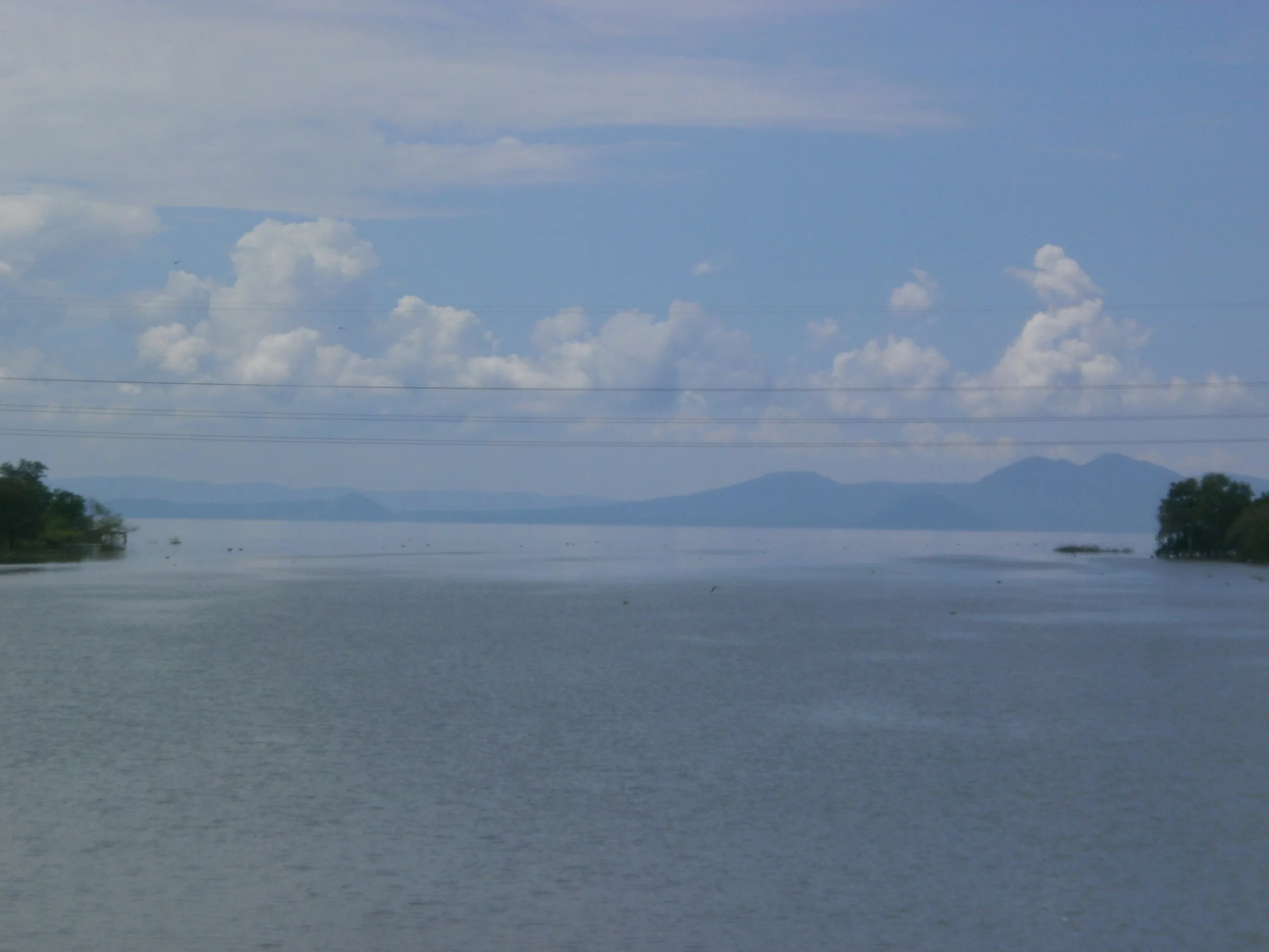 Horas serenas del ocaso breve