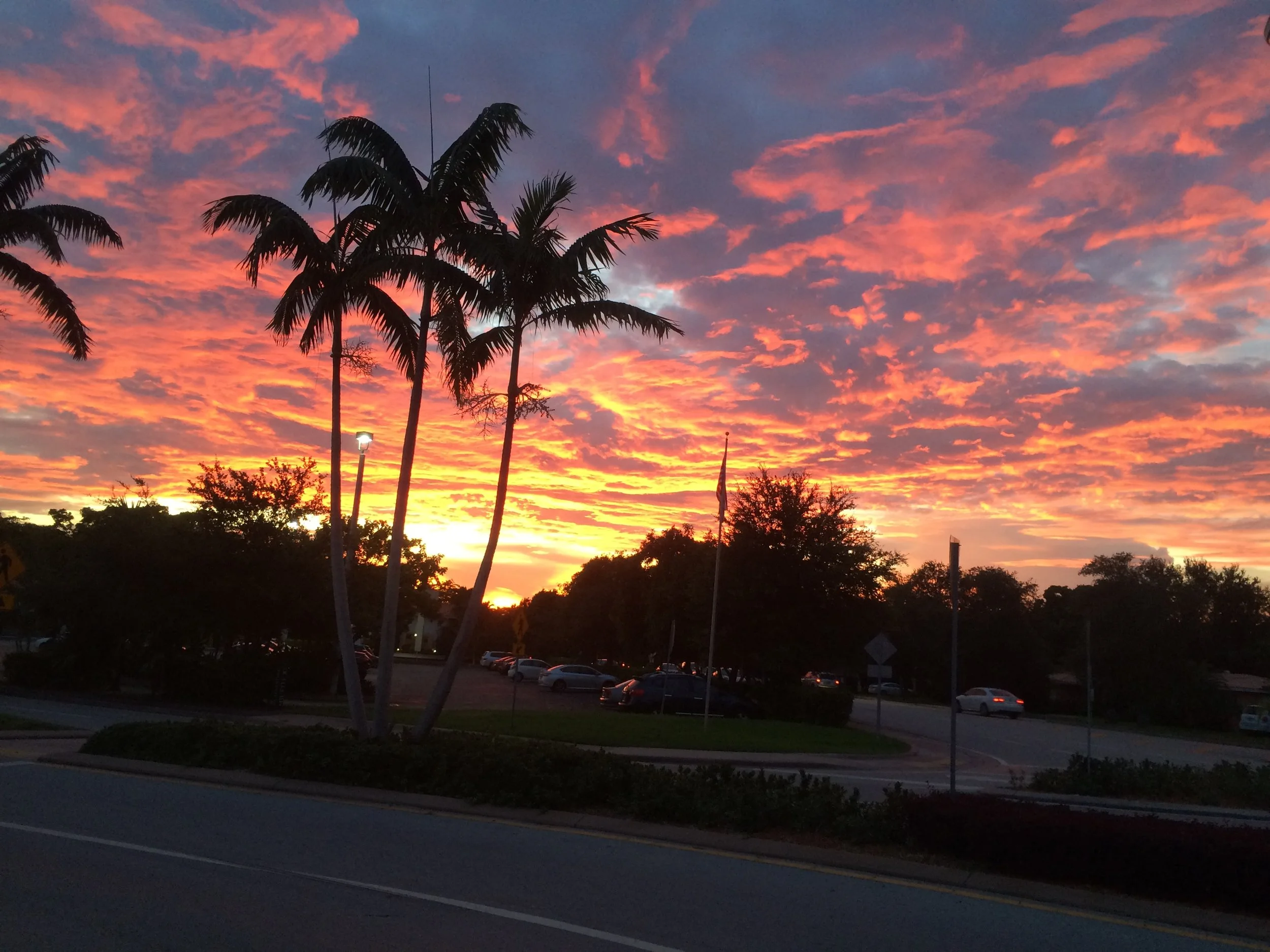 Frost Symphony Orchestra: Respighi, Dorman, and More