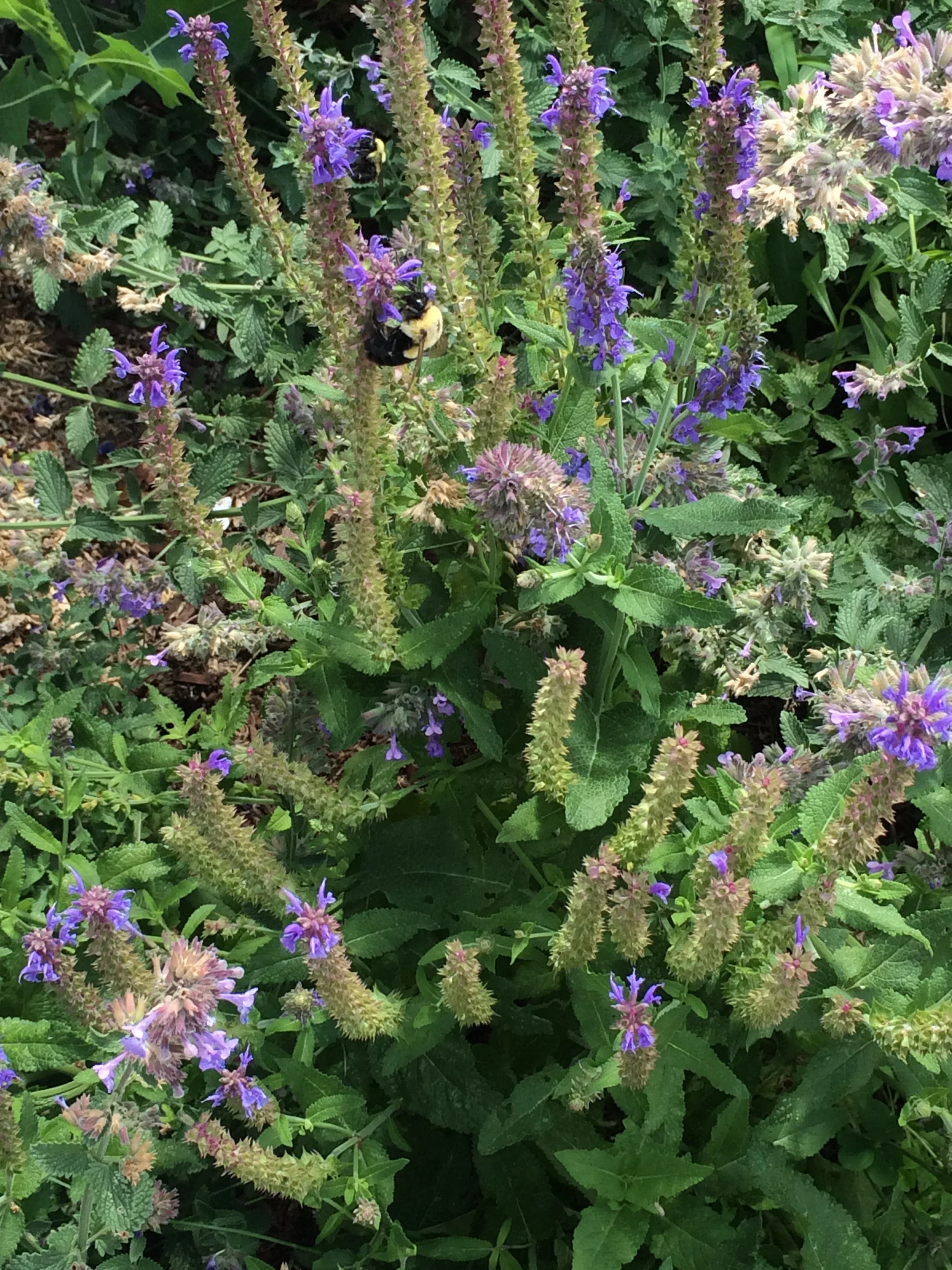 "Concert Prelude," performed by Members of the Cleveland Symphony Orchestra