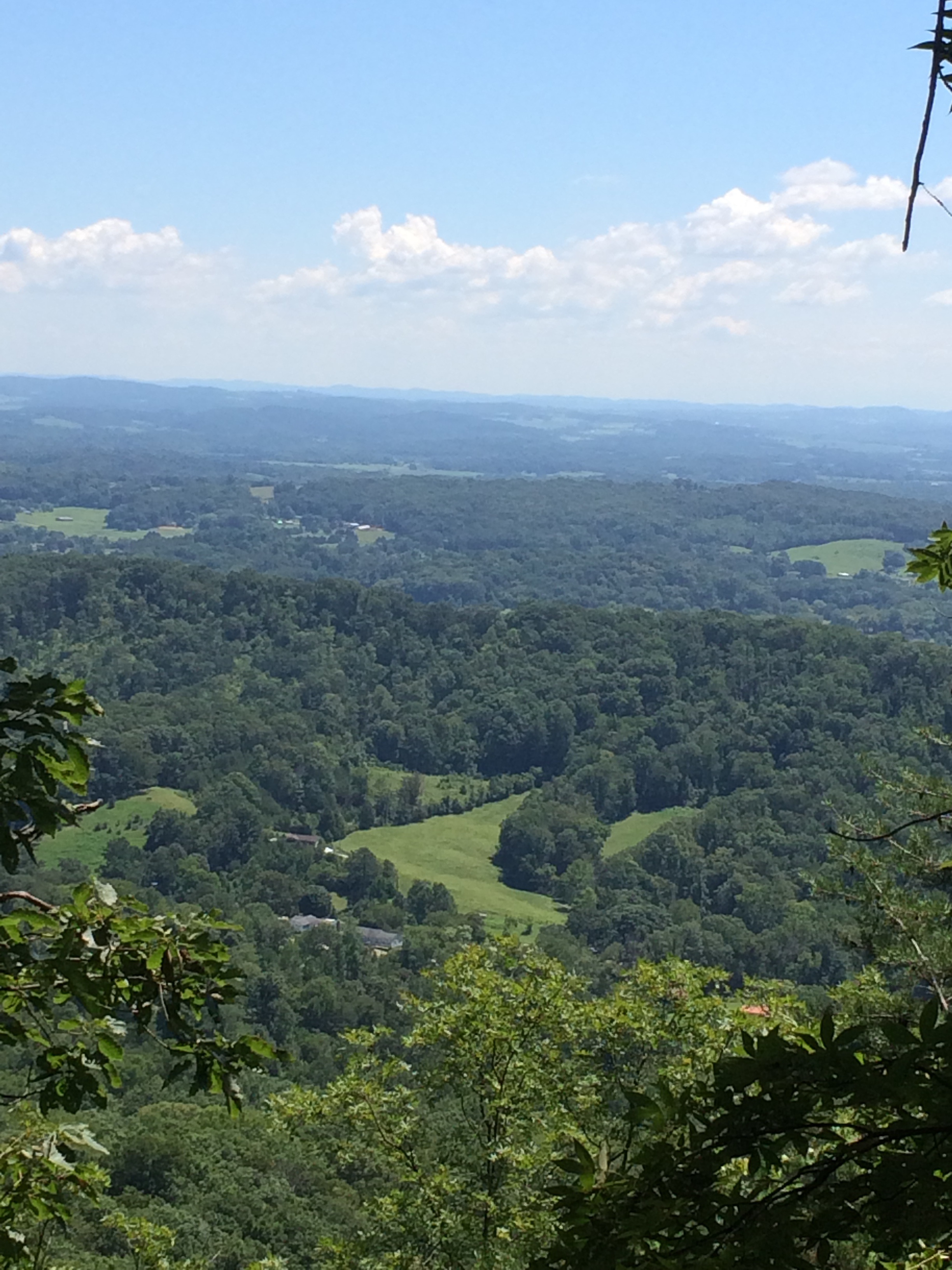 PULSE Trio at the Blue Ridge Chamber Music Festival