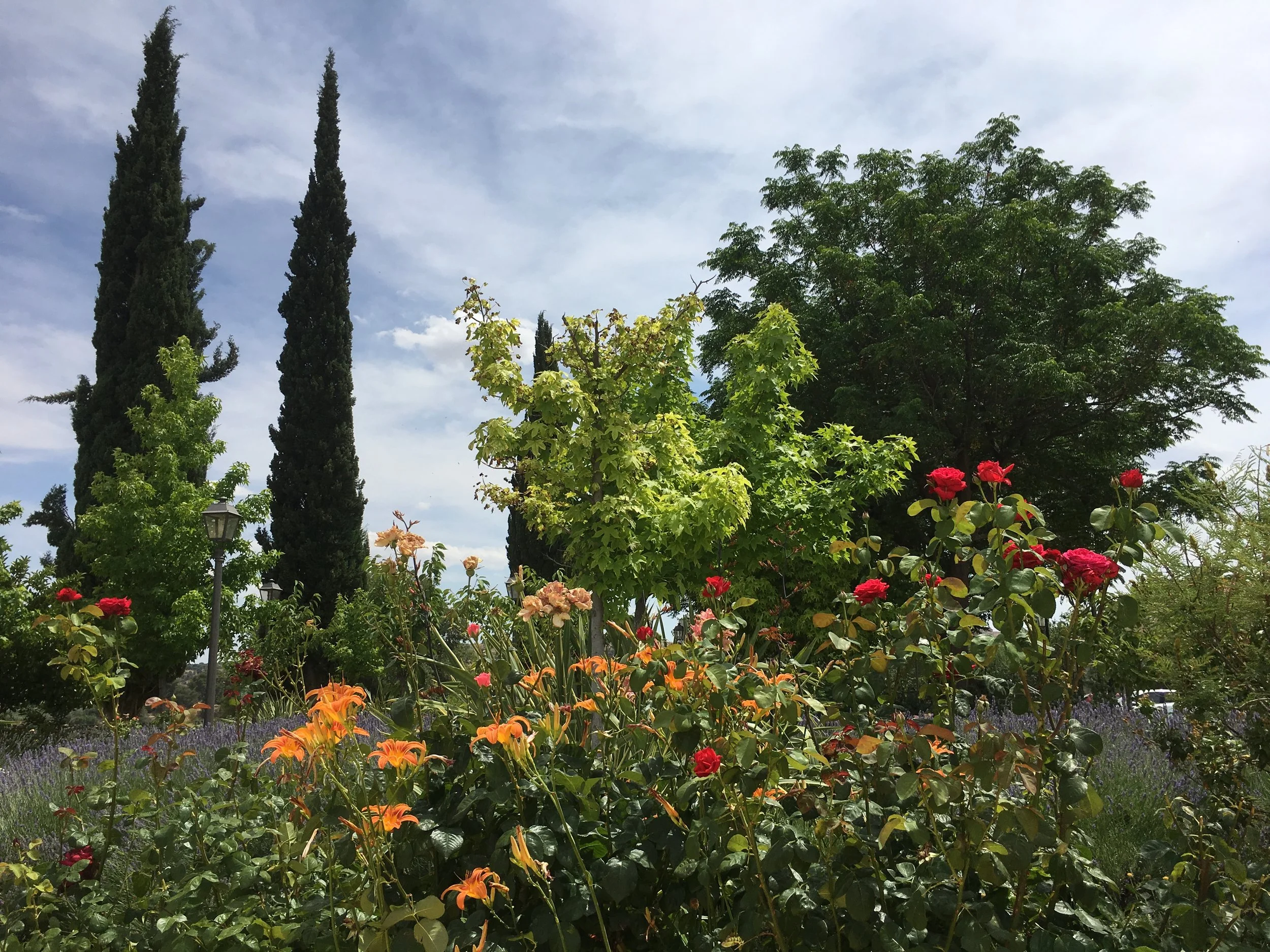 UMKC Dance Collaboration Concert