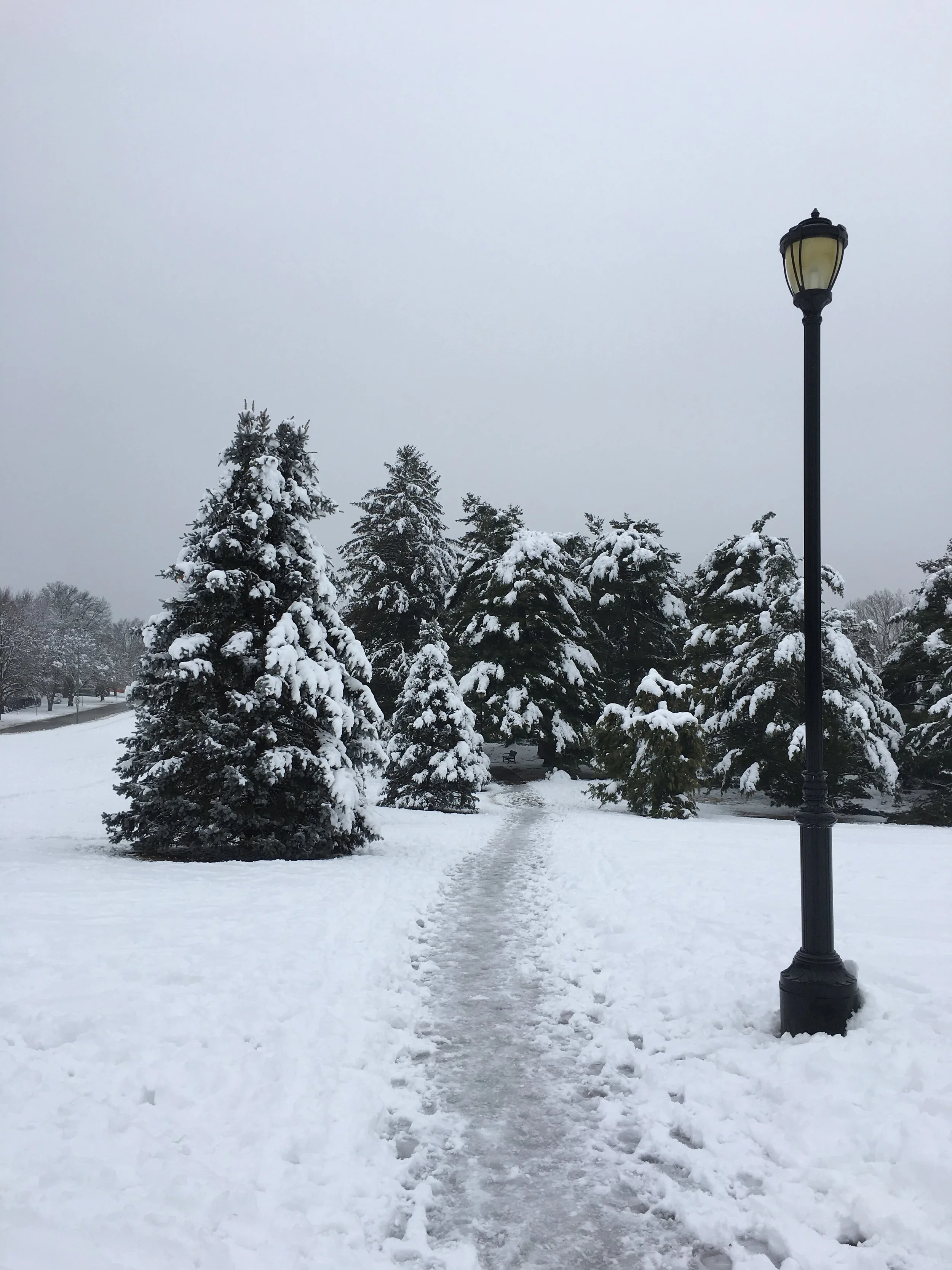 Composer's Guild at Californos