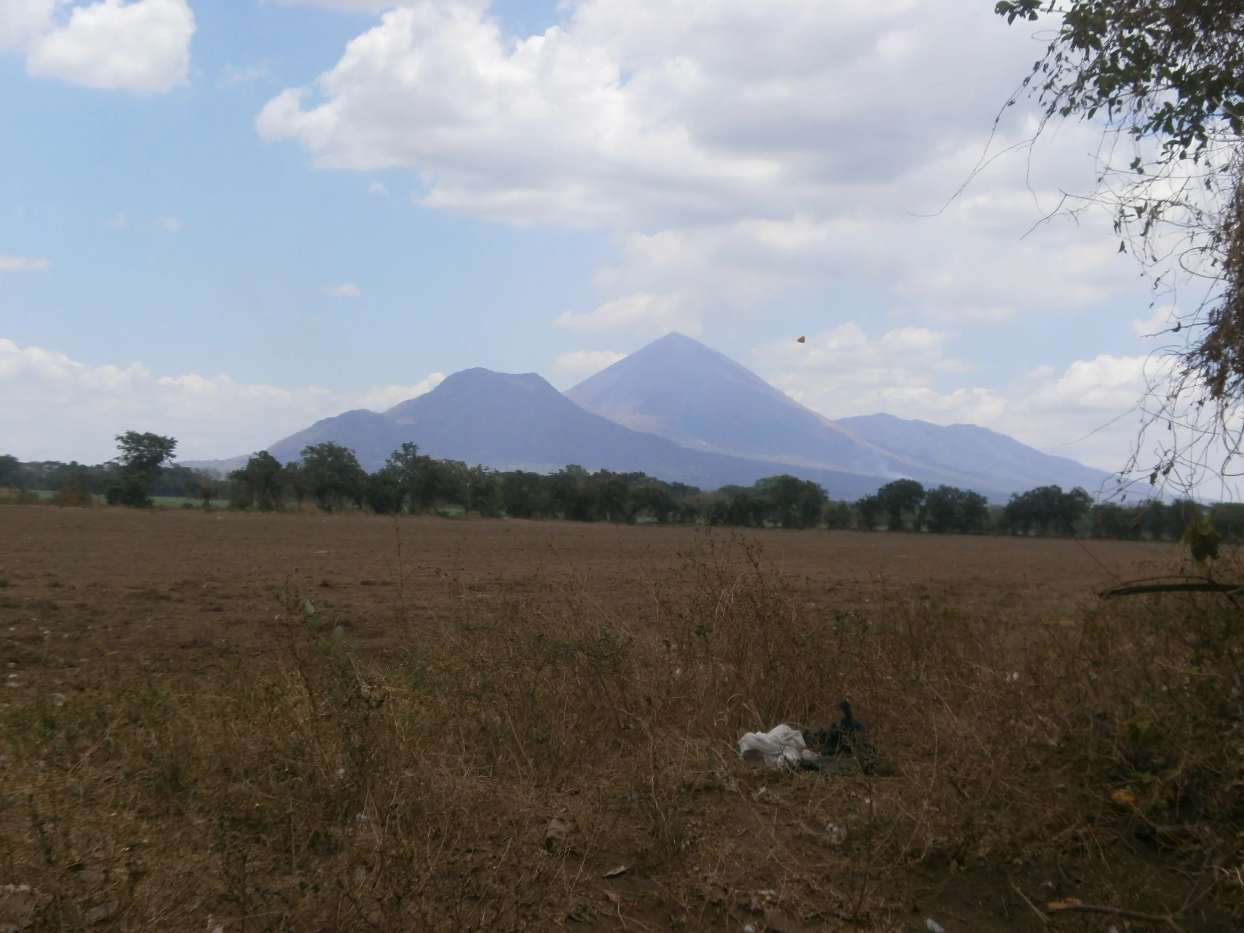 Society of American Music (Presentation)