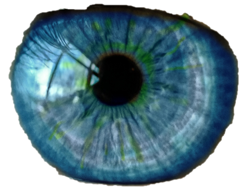 A Statement and the Sound