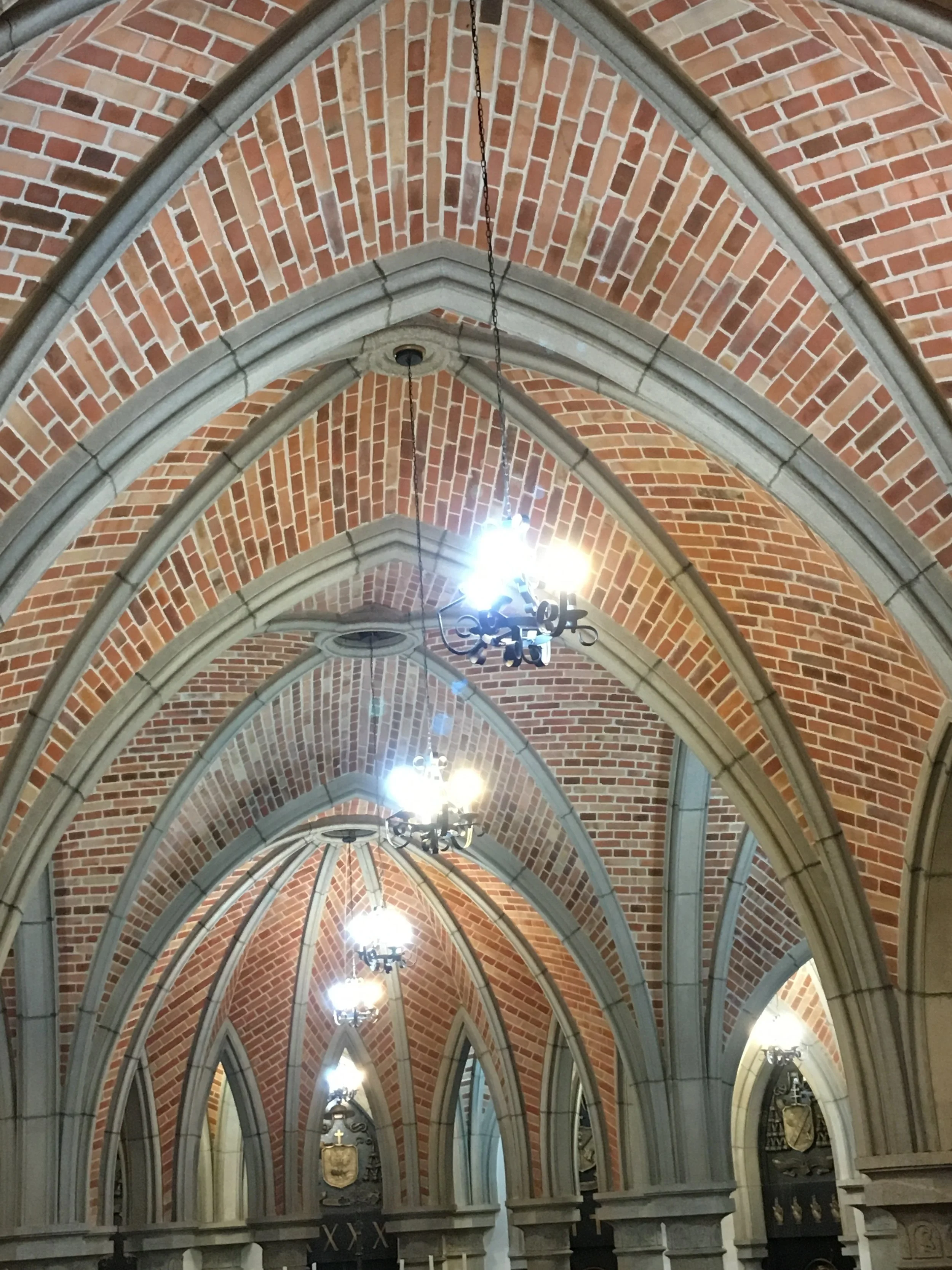 Alexandre Ribeiro, theorbist (Brazil)