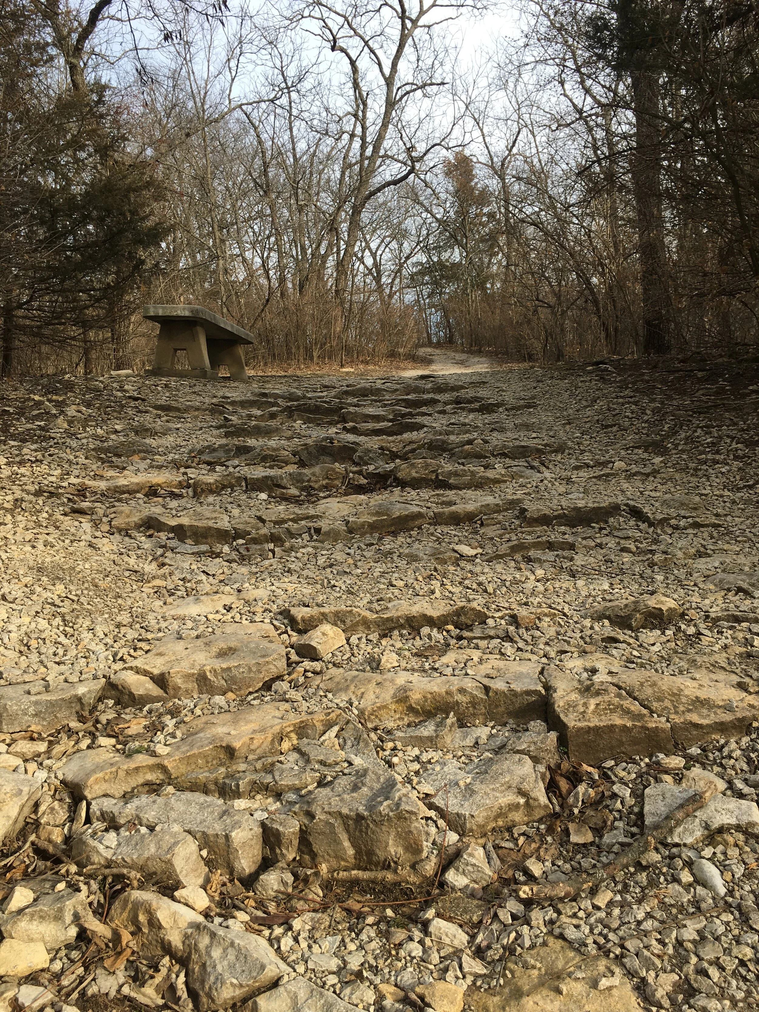 Entering the Fall 2020 Music Classroom